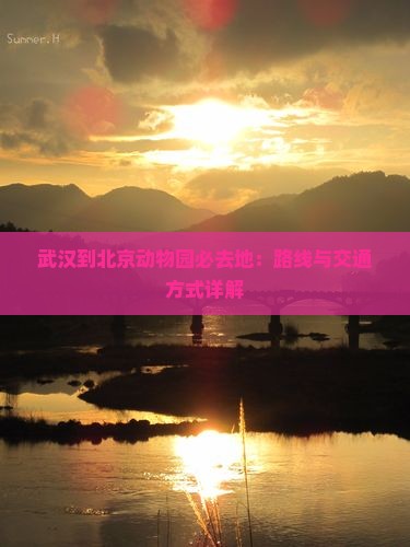 武汉到北京动物园必去地：路线与交通方式详解