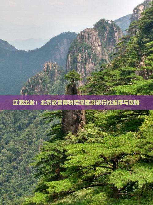 辽源出发：北京故宫博物院深度游旅行社推荐与攻略