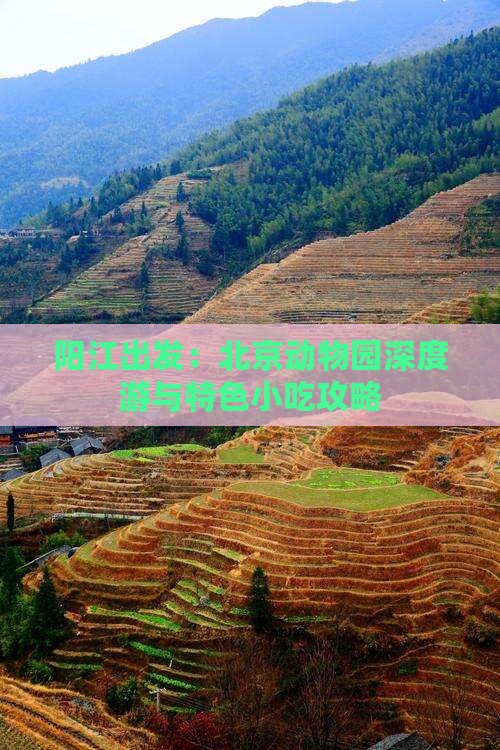 阳江出发：北京动物园深度游与特色小吃攻略