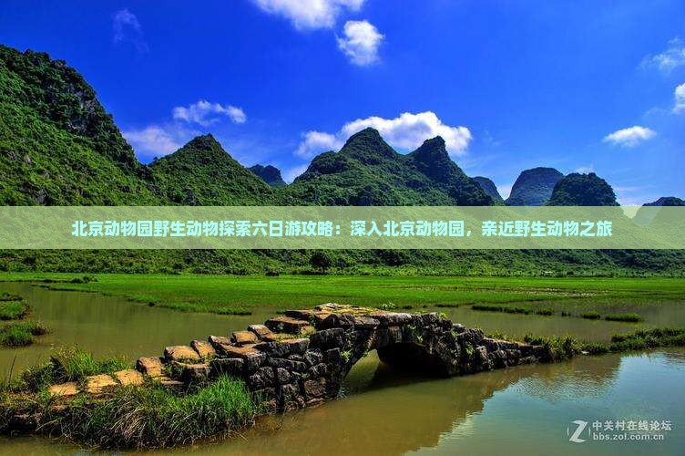 北京动物园野生动物探索六日游攻略：深入北京动物园，亲近野生动物之旅