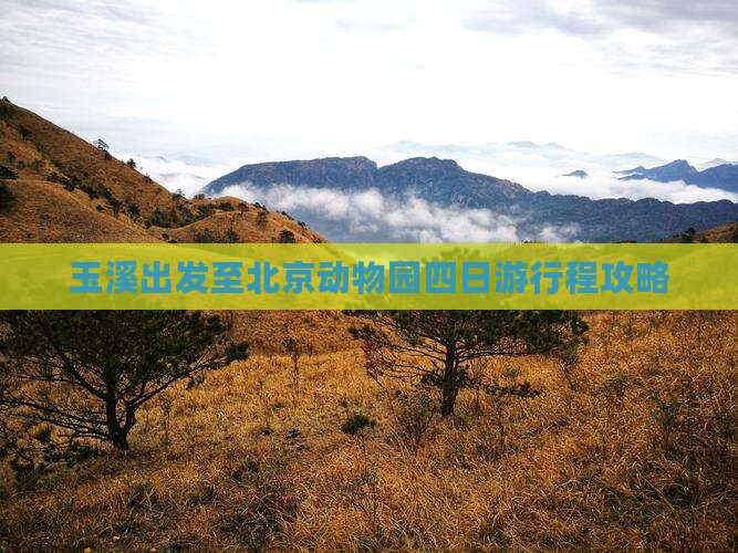 玉溪出发至北京动物园四日游行程攻略