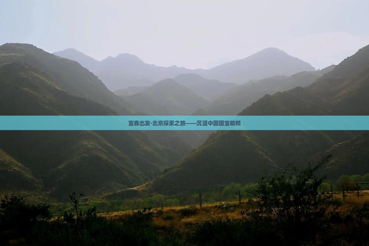 宜春出发·北京探索之旅——沉浸中国国宝精粹