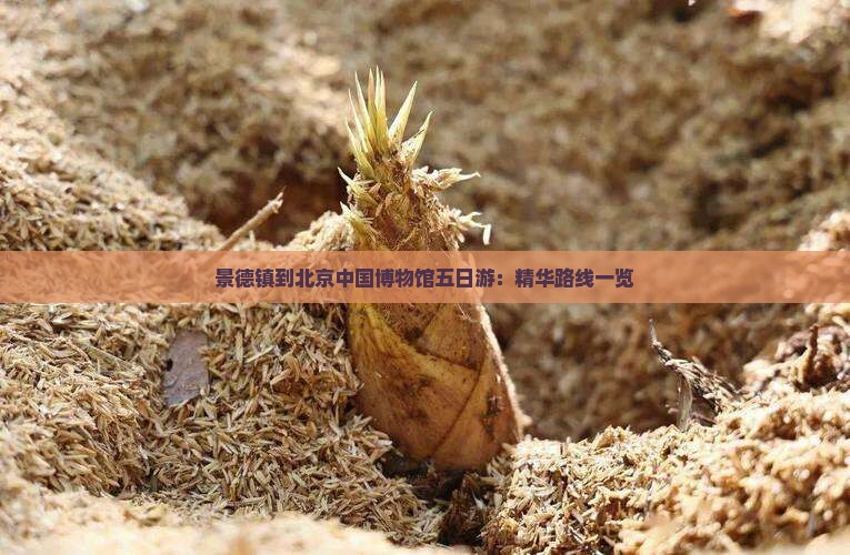景德镇到北京中国博物馆五日游：精华路线一览