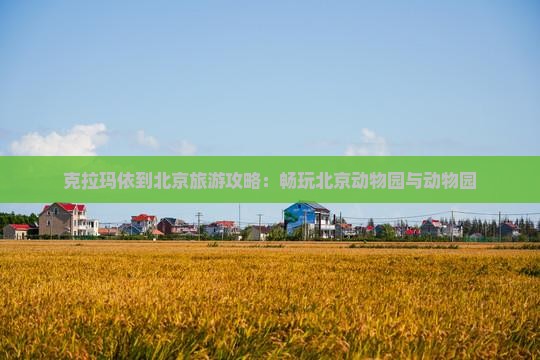 克拉玛依到北京旅游攻略：畅玩北京动物园与动物园