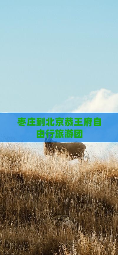 枣庄到北京恭王府自由行旅游团