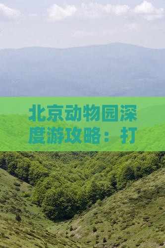 北京动物园深度游攻略：打造完美动物园之旅
