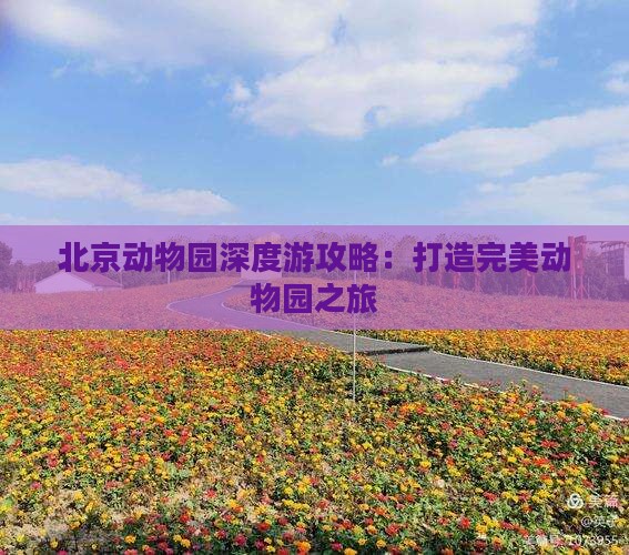 北京动物园深度游攻略：打造完美动物园之旅