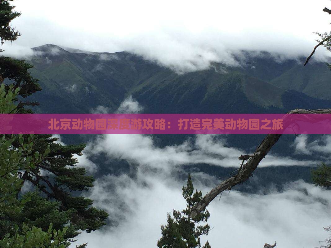 北京动物园深度游攻略：打造完美动物园之旅