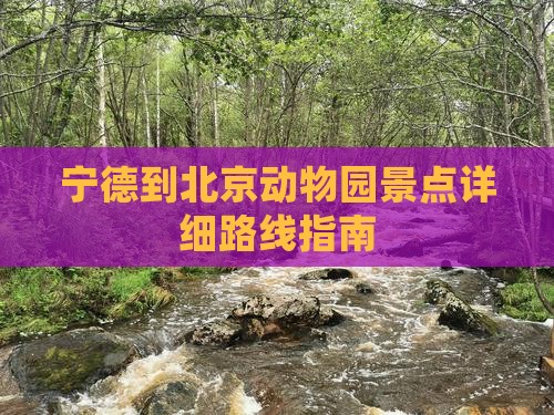 宁德到北京动物园景点详细路线指南