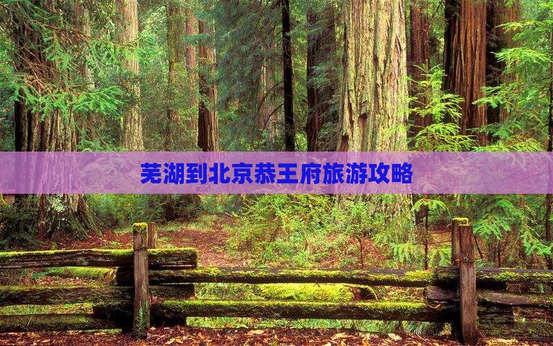 芜湖到北京恭王府旅游攻略