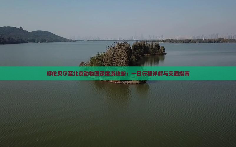 呼伦贝尔至北京动物园深度游攻略：一日行程详解与交通指南