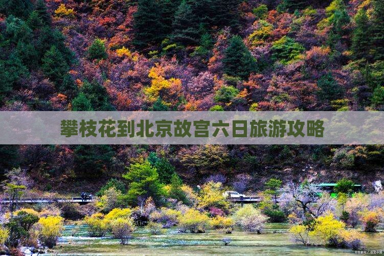 攀枝花到北京故宫博物院六日游