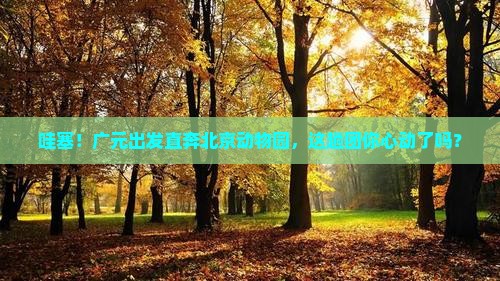 广元到北京动物园大型旅游团