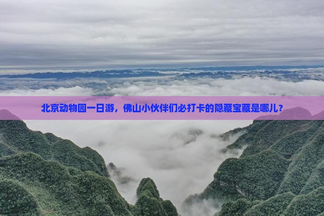 佛山去北京动物园必去地