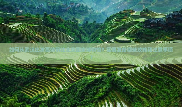 武汉到北京中国国家博物馆攻略