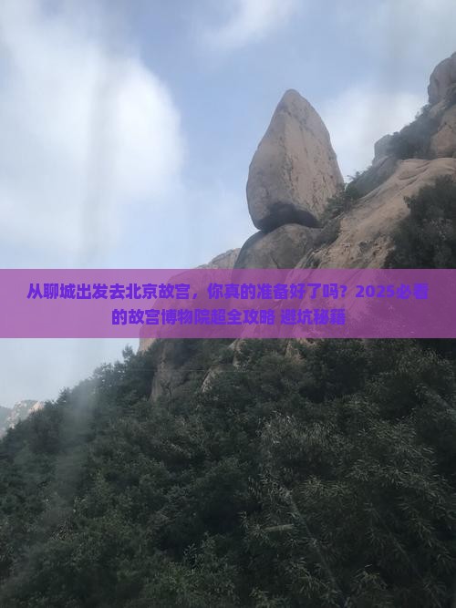 聊城去北京故宫博物院攻略