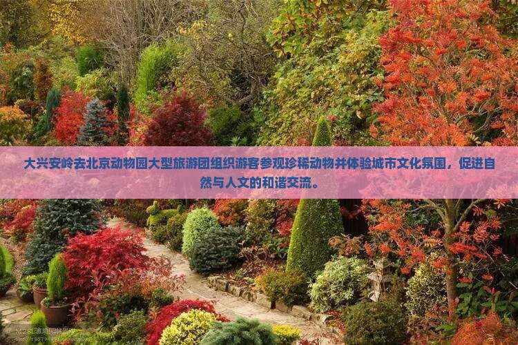 大兴安岭去北京动物园大型旅游团