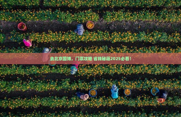 国庆节去北京中国国家博物馆门票