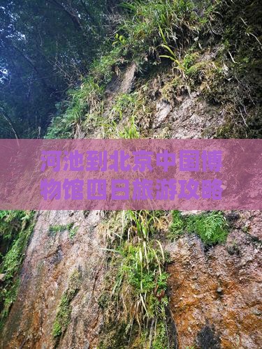 河池到北京中国国家博物馆四日游