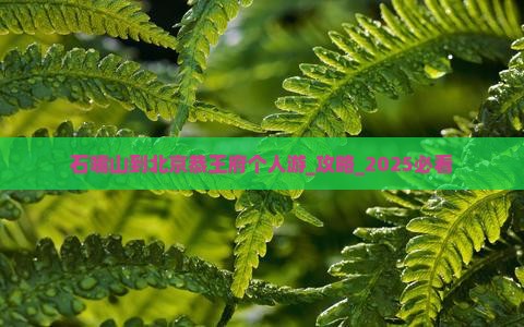 石嘴山到北京恭王府个人游