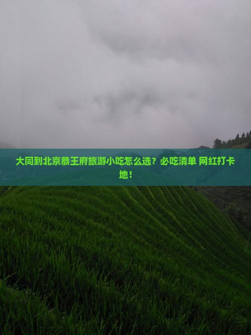 大同到北京恭王府旅游小吃