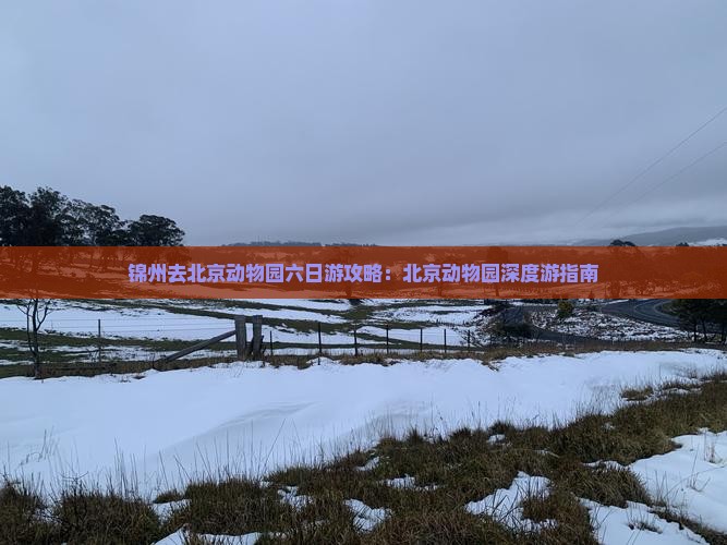 锦州去北京动物园六日游