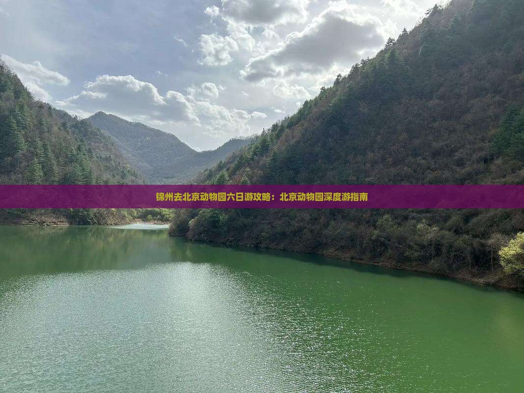 锦州去北京动物园六日游