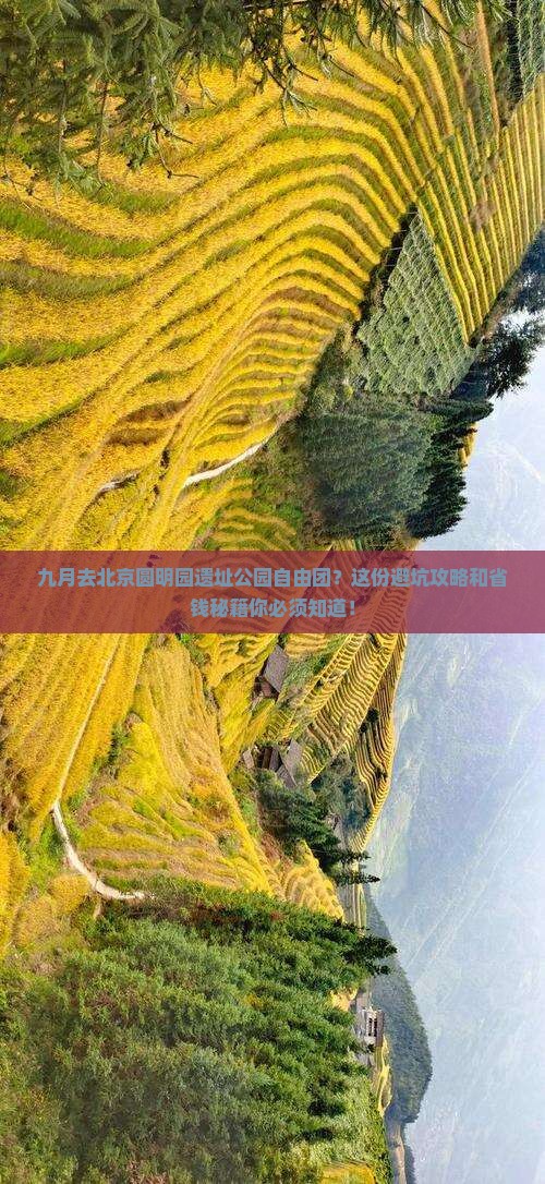 九月去北京圆明园遗址公园自由团