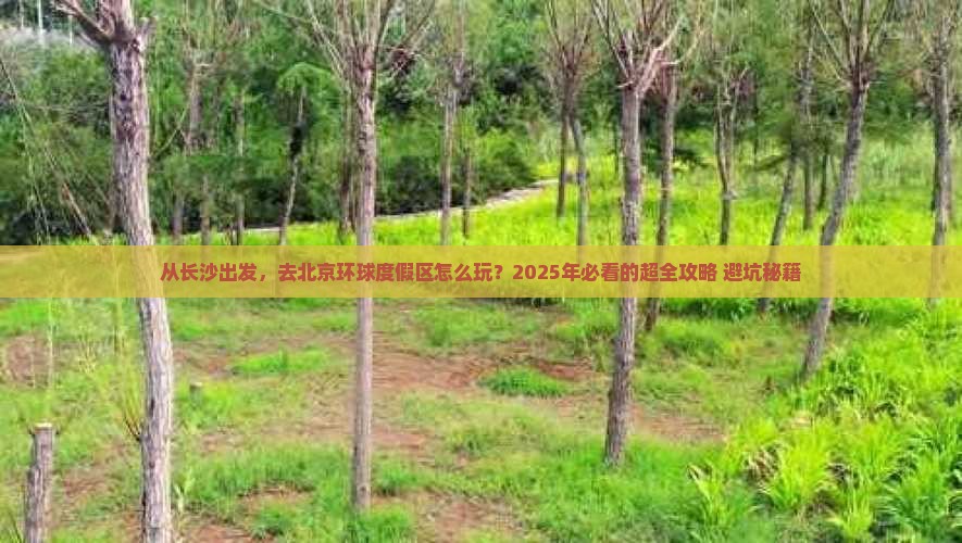 长沙去北京环球度假区景点