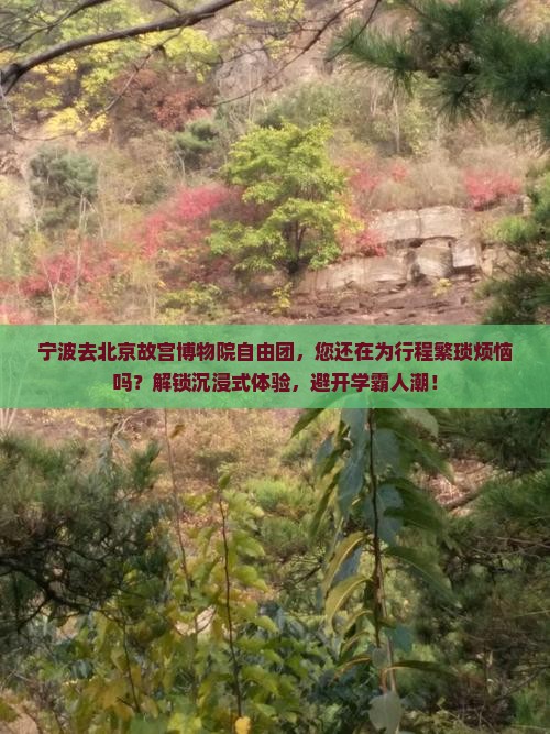宁波去北京故宫博物院自由团