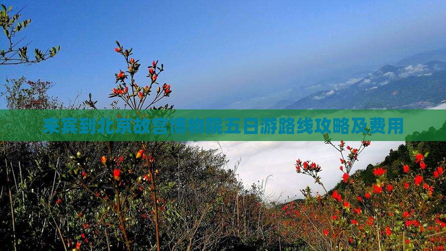 来宾到北京故宫博物院五日游