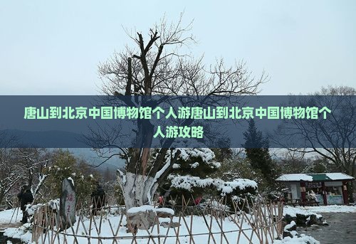 唐山到北京中国国家博物馆个人游