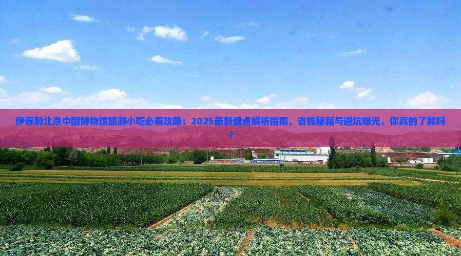 伊春到北京中国国家博物馆旅游小吃