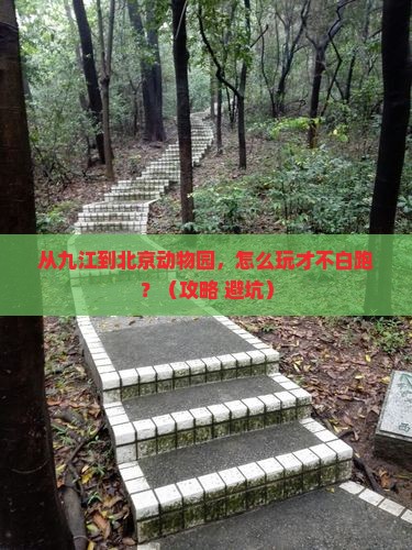 九江去北京动物园哪里玩