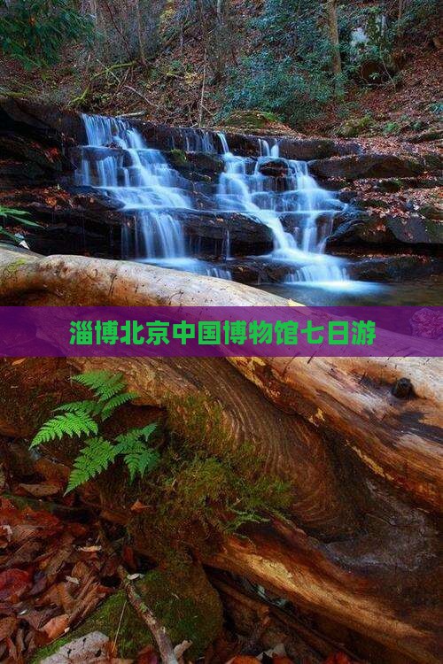 淄博去北京中国国家博物馆七日游