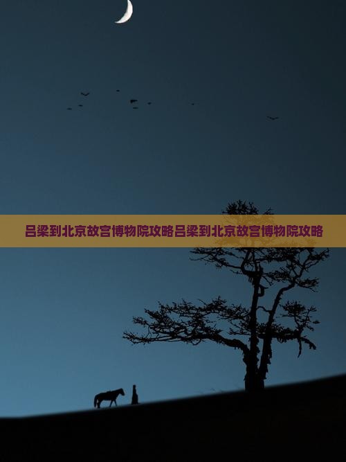 吕梁到北京故宫博物院攻略
