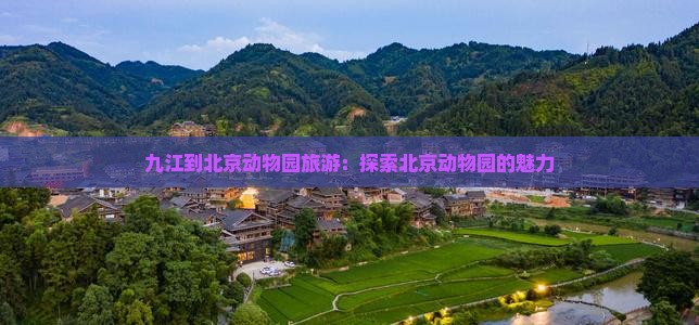 九江到北京动物园旅游
