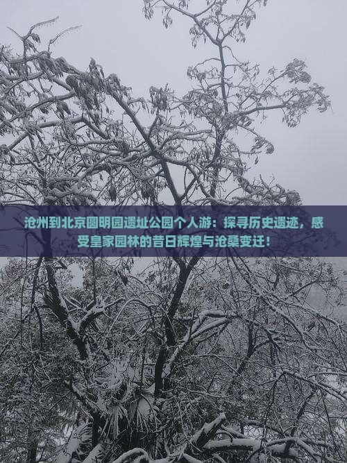 沧州到北京圆明园遗址公园个人游