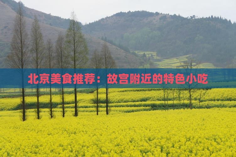 北京美食推荐：故宫附近的特色小吃