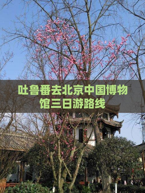 吐鲁番去北京中国博物馆三日游路线