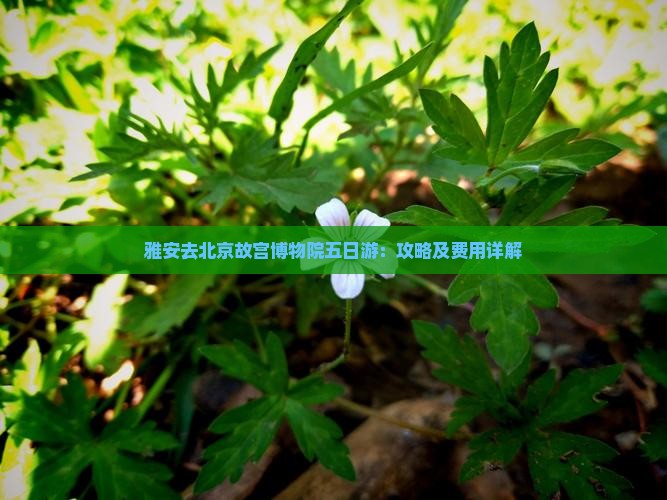 雅安去北京故宫博物院五日游：攻略及费用详解