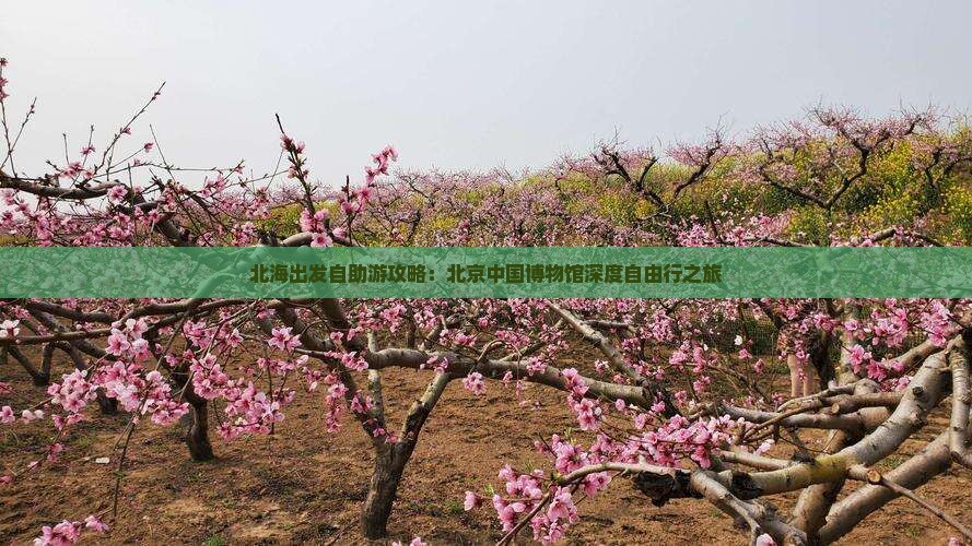 北海出发自助游攻略：北京中国博物馆深度自由行之旅
