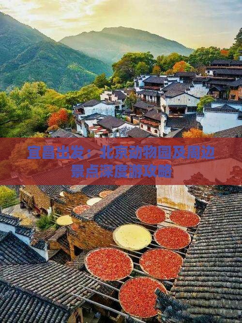 宜昌出发：北京动物园及周边景点深度游攻略