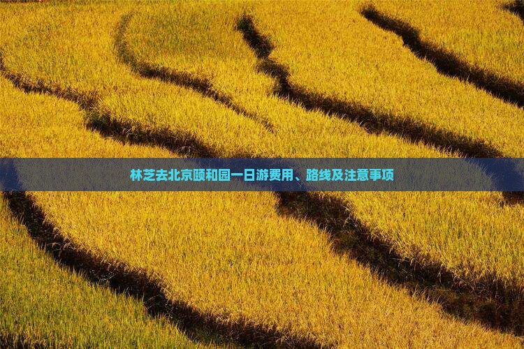 林芝去北京颐和园一日游费用、路线及注意事项