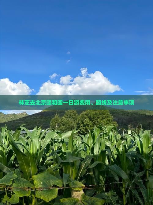 林芝去北京颐和园一日游费用、路线及注意事项