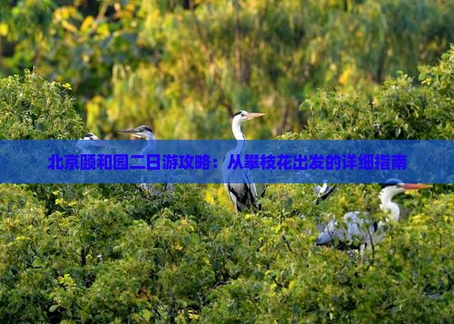 北京颐和园二日游攻略：从攀枝花出发的详细指南