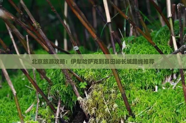 北京旅游攻略：伊犁哈萨克到慕田峪长城路线推荐