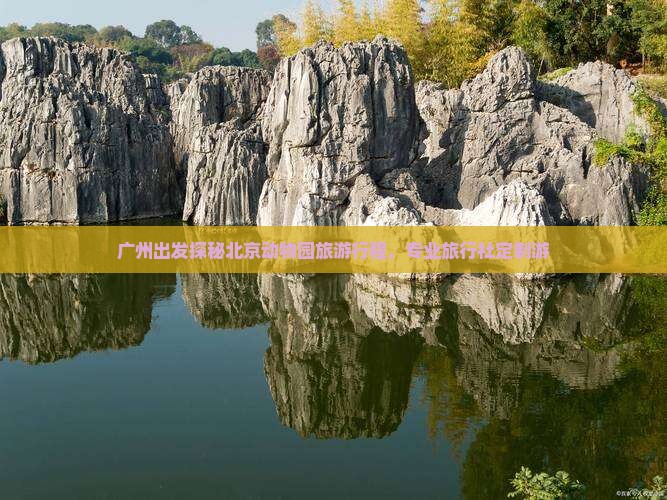 广州出发探秘北京动物园旅游行程，专业旅行社定制游