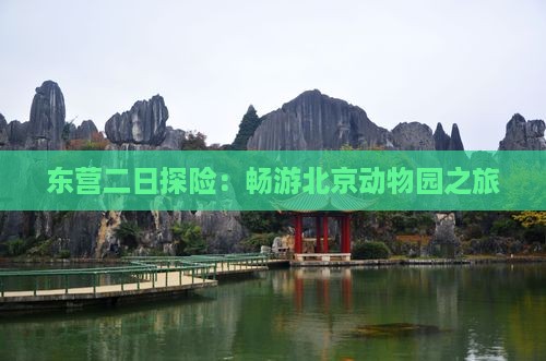 东营二日探险：畅游北京动物园之旅
