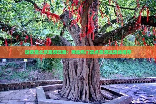 延安至北京旅游攻略：两地热门景点及游玩路线推荐